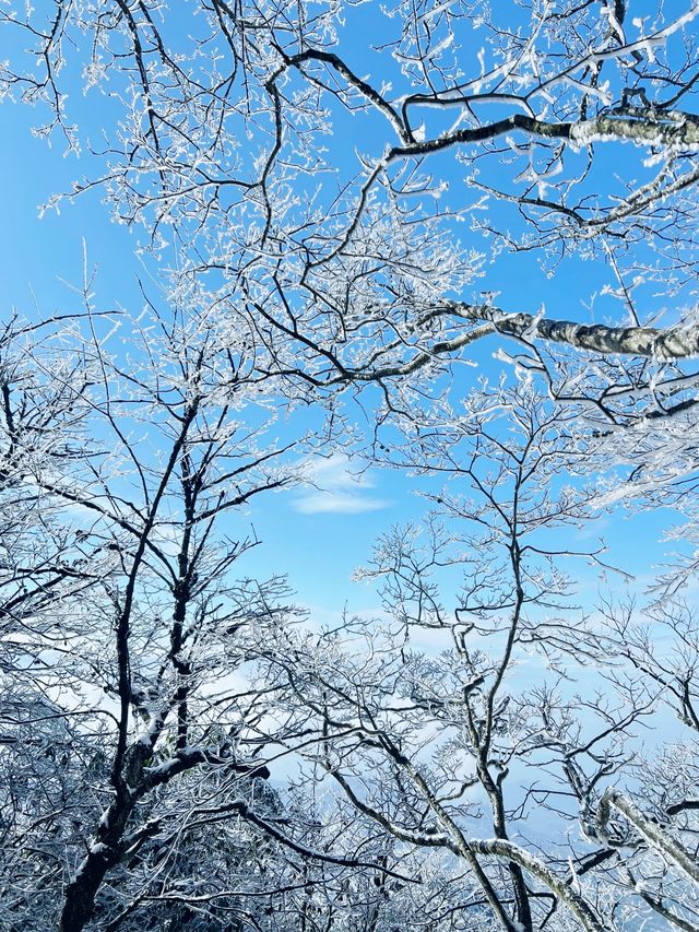 九華山下雪了