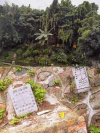 有一種山頂生活叫  綠春