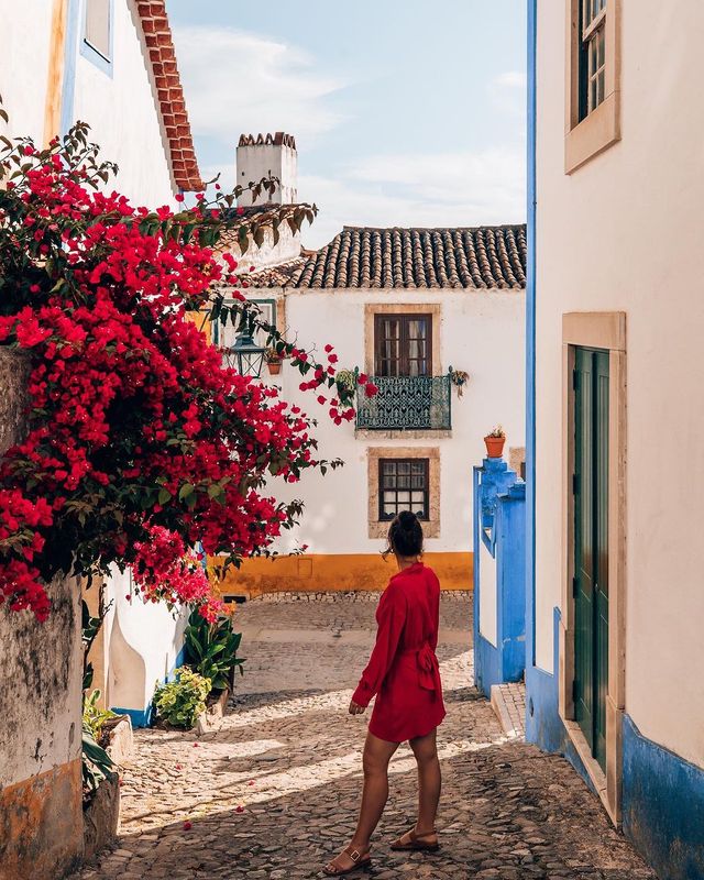 🌺🇵🇹 Bougainvillea Beauty: A Picturesque Palette in the Heart of Portugal! 📸🌿