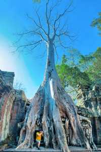 旅行吳哥窟我把秘密藏在了寺廟樹洞裡