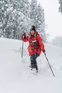 不滑雪了雪國邂逅美人林 雪地徒步進森林