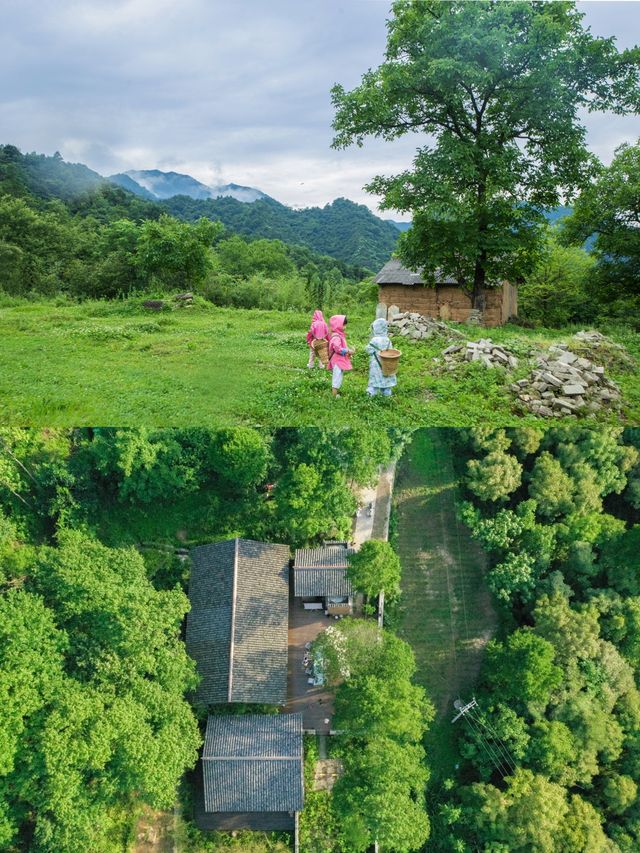 陝西|藏在秦嶺深處避世秘境絕美民宿