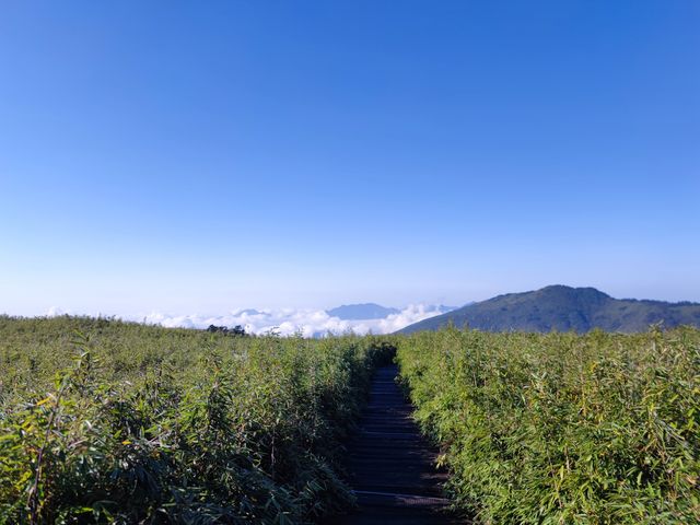 小心 神農架野人出沒