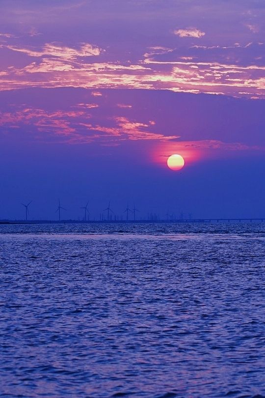 小眾的島嶼，人少景美，在上海免費看大海