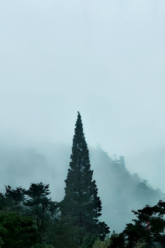 小眾旅遊地百山祖