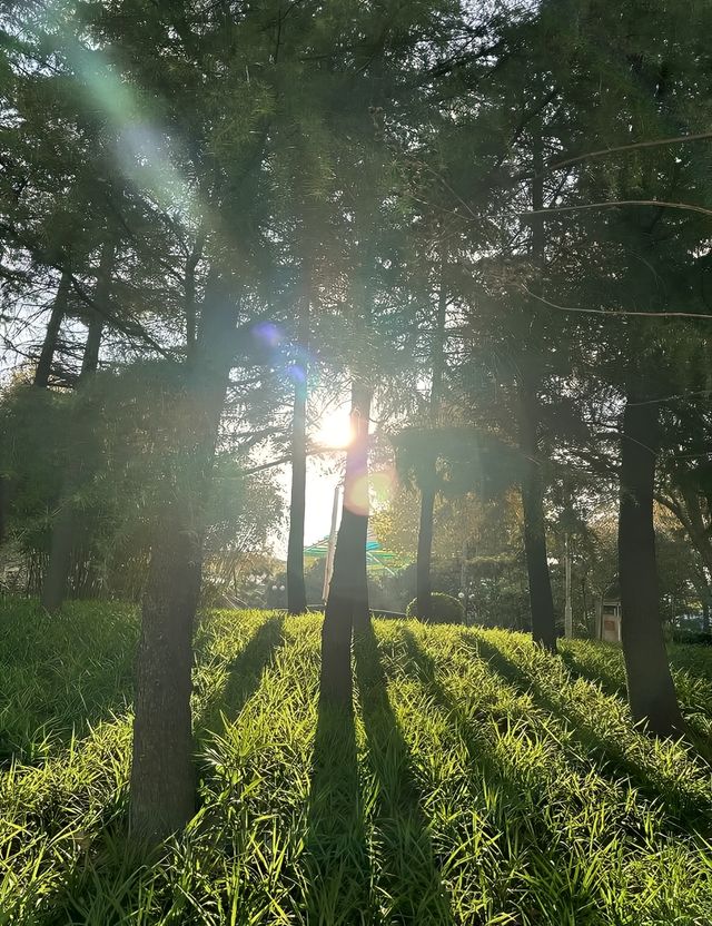 鄭州半小時就能到這個超美的蘇式園林|