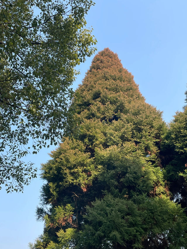 浙江普陀山自駕遊實況記錄|||