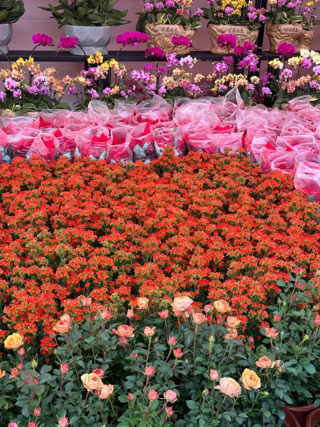 The Foshan flower market you asked for is here