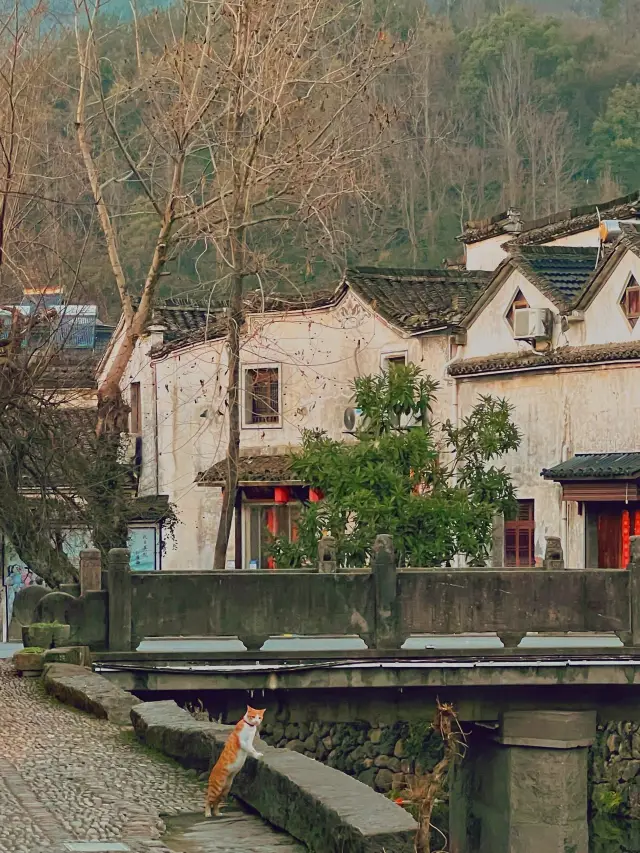 杭州から自家用車で1時間、春節に明清の古建築群がある龍門古鎮へ行こう