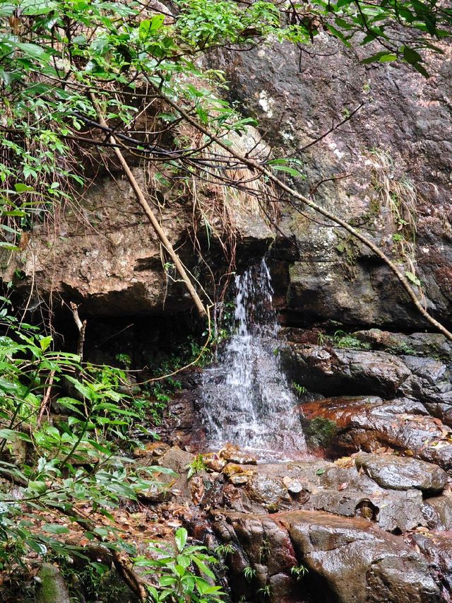 福建竟然藏著這麼一個仙境   福建靈通山