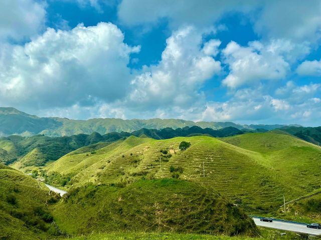 南山牧場｜漫步雲端