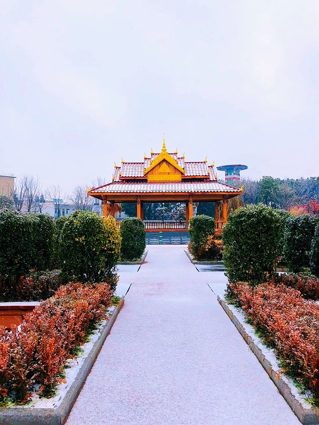 輕輕鬆鬆走斷腿：合肥園博園雪景