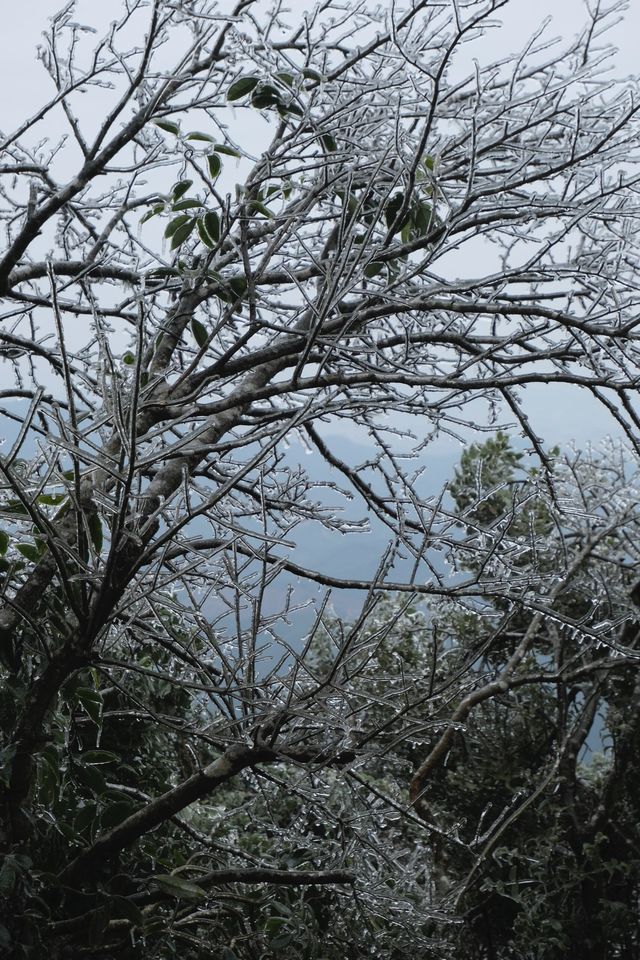 廣西貴港之行 | 平天山霧凇