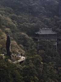 羊獅慕||見山，看山！