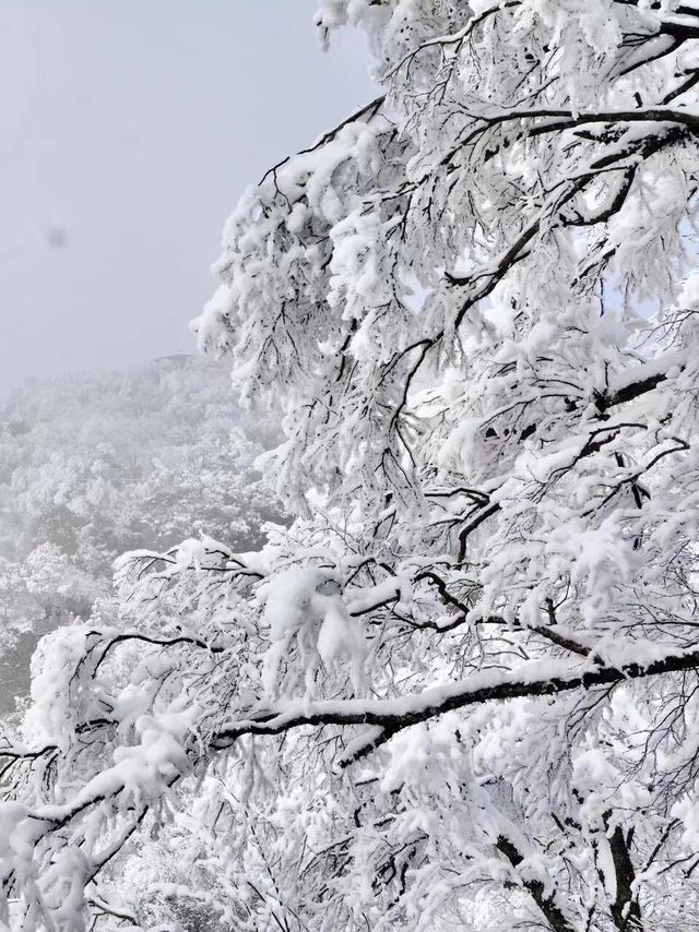 郴州之行，與霧凇雪景共度冬日仙境之旅