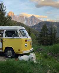 Join Felix and Daisy on their Vanlife Adventure in Italy! 🇮🇹😁
