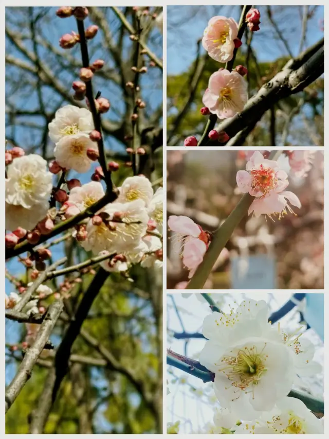 上海靜安雕塑公園｜一場藝術的洗禮