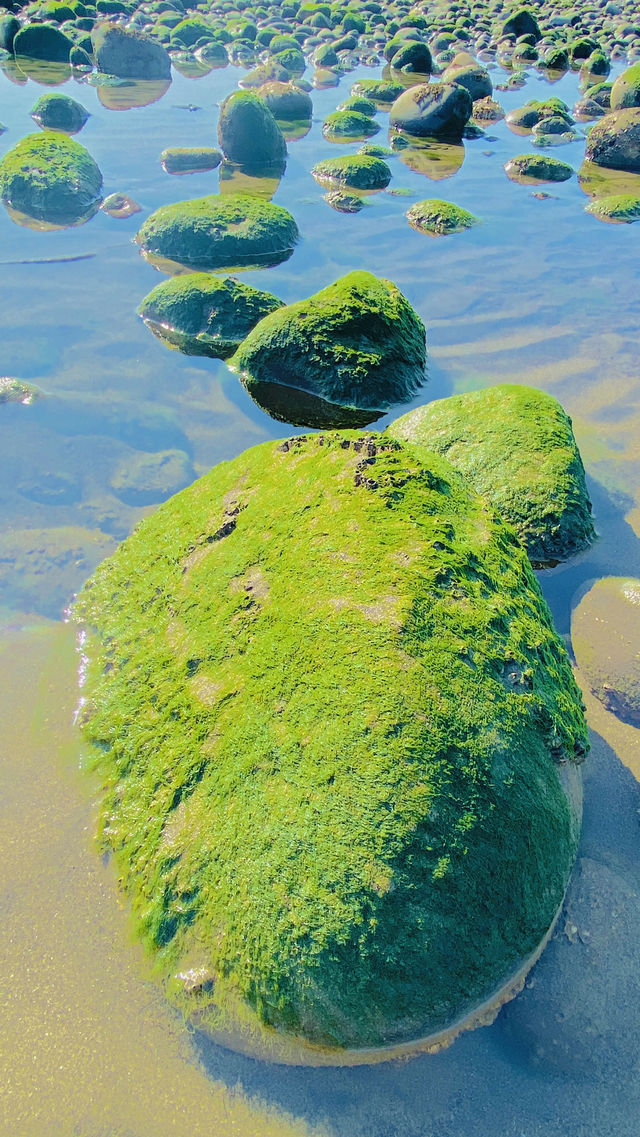 海邊綠石槽