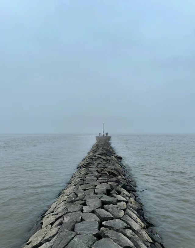 上海長興島，網紅丁字壩打卡