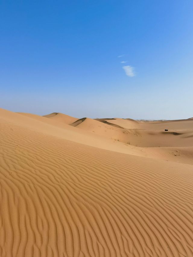 吐鲁番庫木塔格沙漠|你喜歡黃金的顏色嗎？