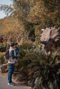 節假日別去自然博物館，顧村公園更香