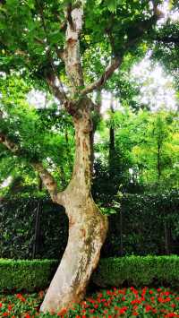 淮海公園：由外國人公墓改建而來的公園