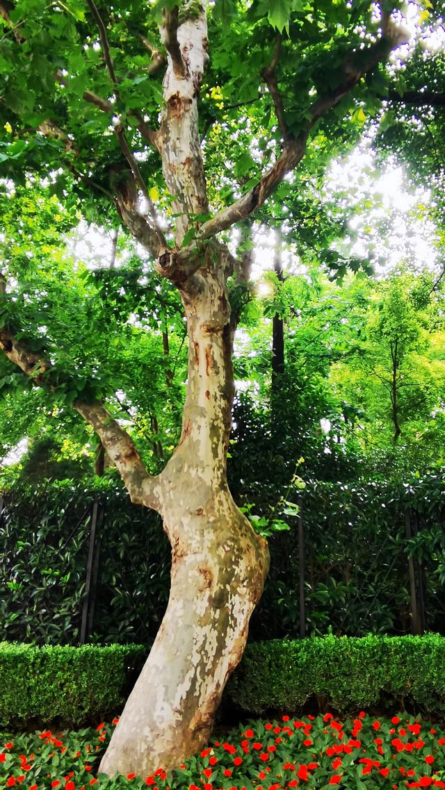 淮海公園：由外國人公墓改建而來的公園