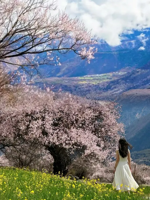 西藏・林芝｜雪山と桃花のロマンチックなデートに出かけよう