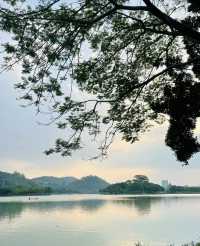 順峰山公園美景