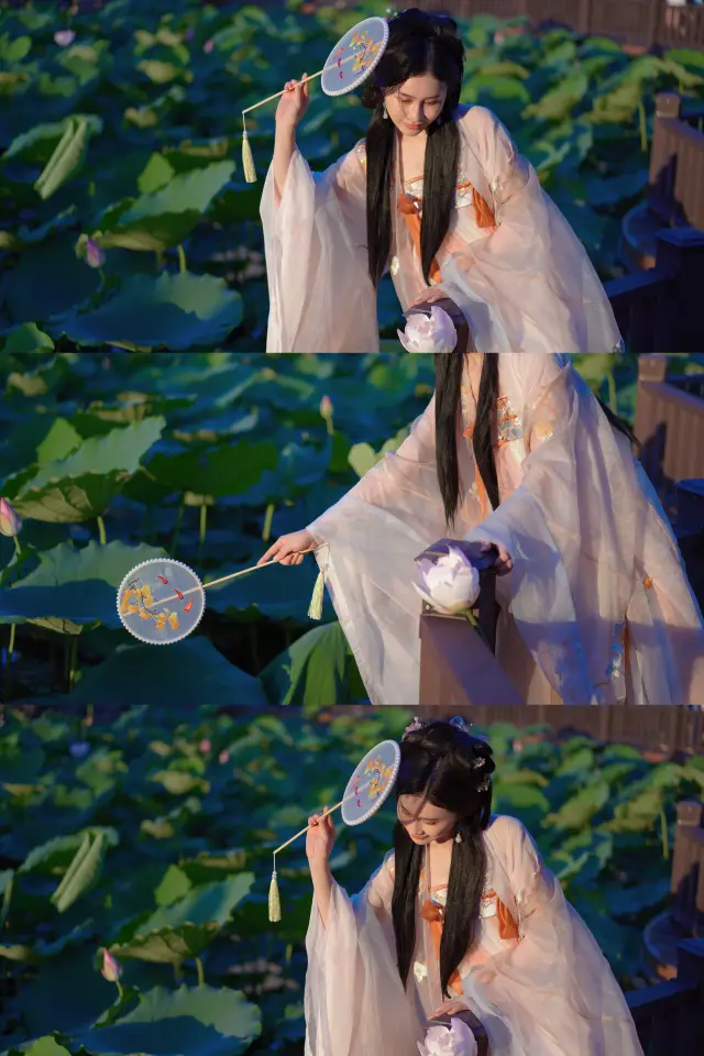 The lotus ponds in Shenzhen Honghu Park are in full bloom, making it a great spot for Hanfu photography