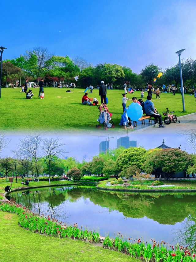 地鐵直達杭州這個公園開著漂亮的花