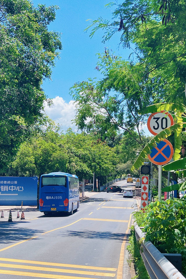 兩天一夜大鵬灣公交車旅遊保姆級攻略