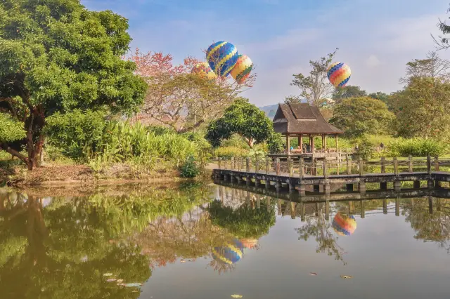 西雙版納中科院植物園｜奇花異卉綻放的仙境