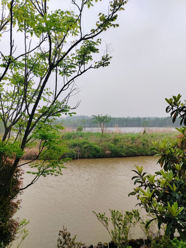 人與自然，和諧共生——大美洋沙湖濕地公園
