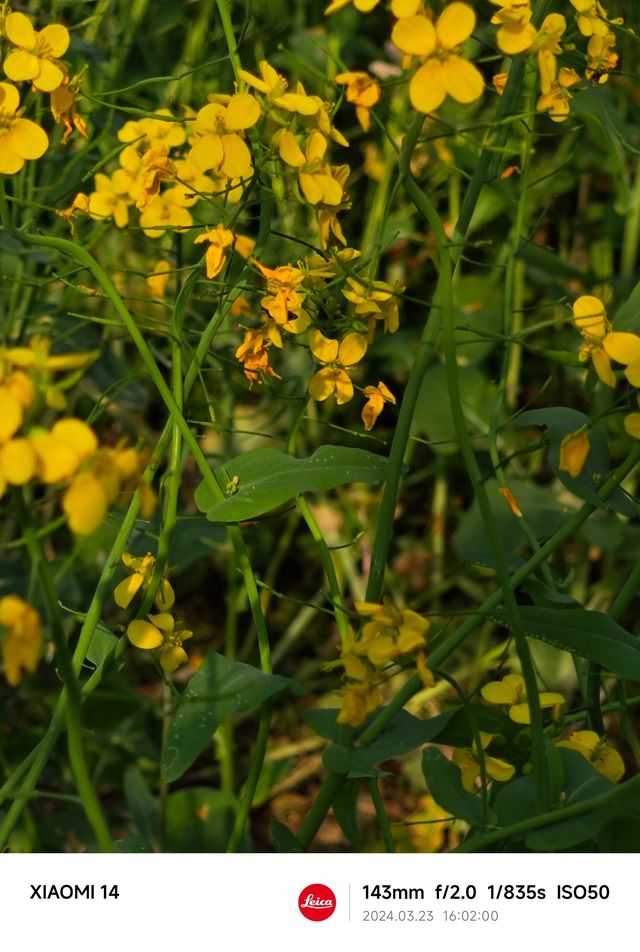 桂林南溪山公園之旅