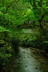 原以為靈隱寺已經很美了‖直到我去了這裡…