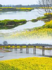 成都“小江南” | 邛崃兩河村千畝油菜花田