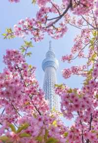 日本晴空塔：東京天空樹