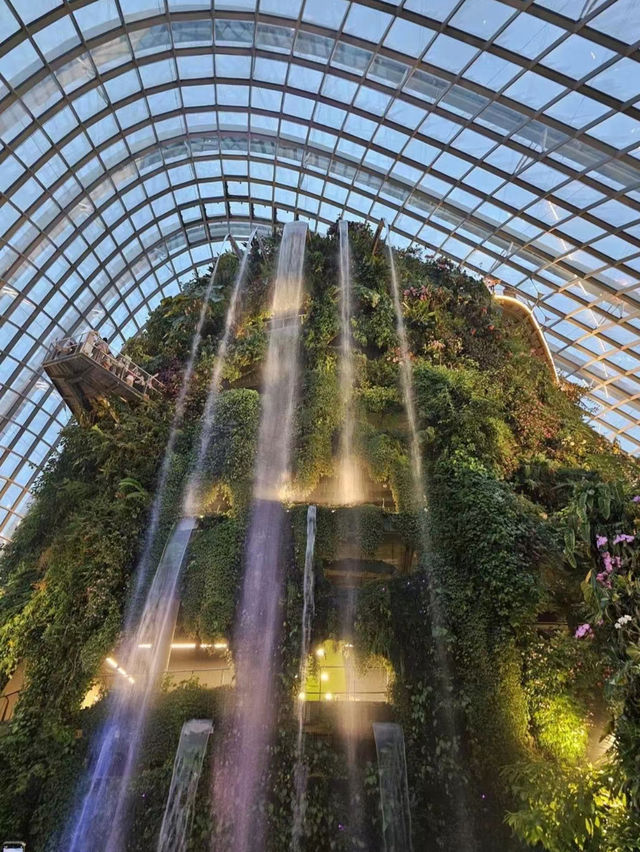 Garden by the bay Singapore  beauty 🇸🇬 