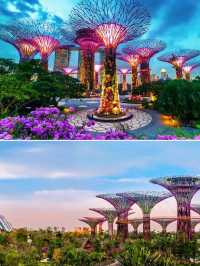 Attractive Marina Bay Garden Singapore🇸🇬♥️