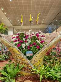 Singapore Changi Airport ✈️🇸🇬