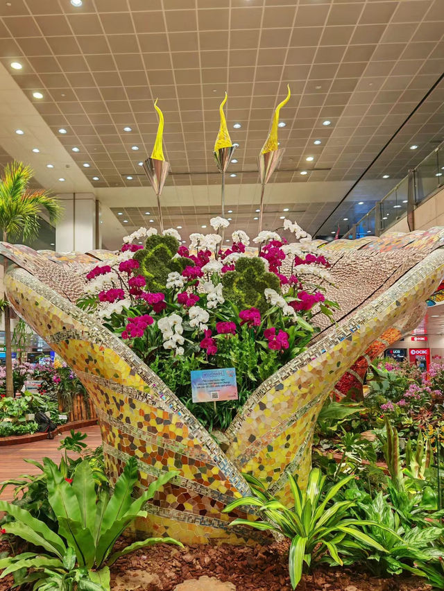Singapore Changi Airport ✈️🇸🇬