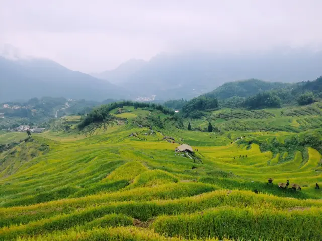The most beautiful terraces in East China!