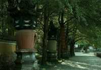 相較於靈隱,我更愛寧波這個精緻人少千年古寺