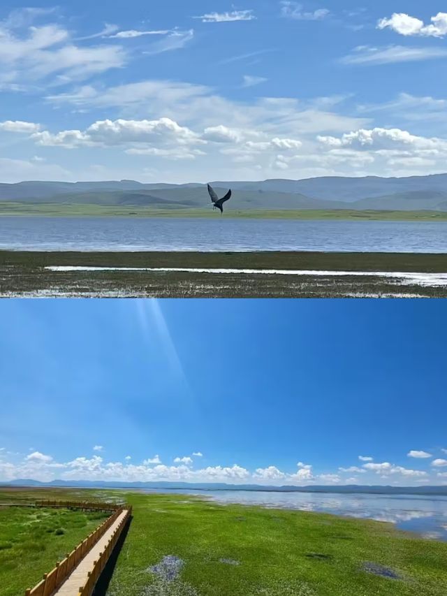 高原明珠—尕海湖