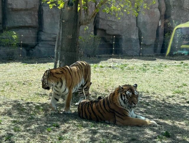 黑龍江齊齊哈爾龍沙動植物園‖齊齊哈爾必打卡景點之一