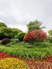 寧波日湖公園，亮點紛呈，值得一去再去