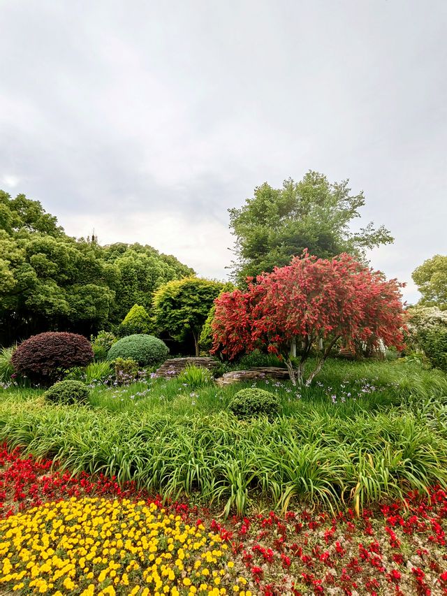 寧波日湖公園，亮點紛呈，值得一去再去