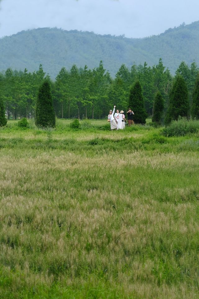 江浙旅行｜初夏玩水，在自然中回歸慢生活