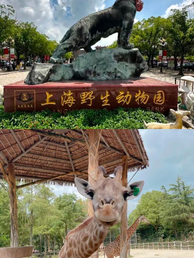 上海動物園親子遊必打卡